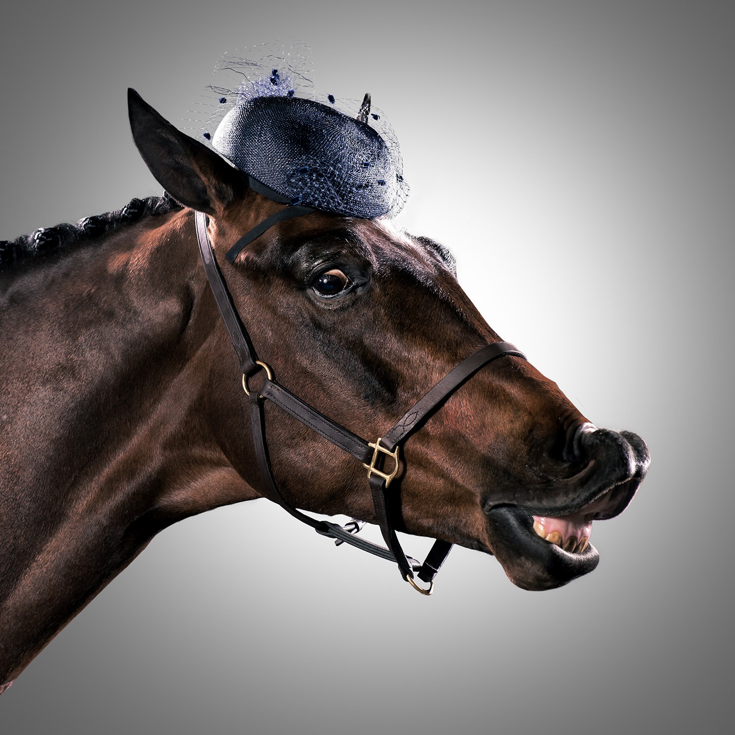 Thoroughbred hats outlet
